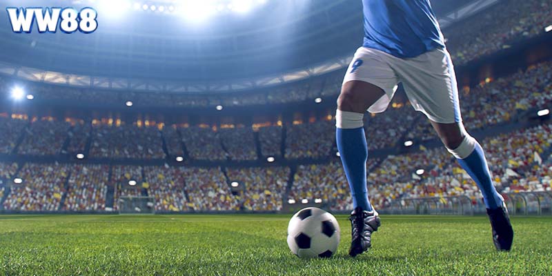 Có nhiều kèo cược để lựa chọn chơi cá độ